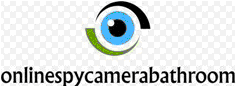 onlinespycamerabathroom